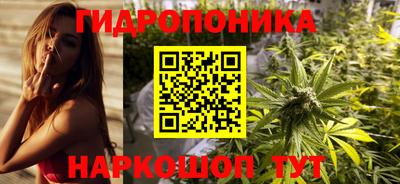 прущие грибы Ипатово